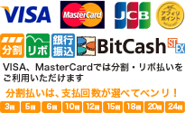 ご利用可能な支払い方法（クレジットカード、銀行振込、BitCash等）